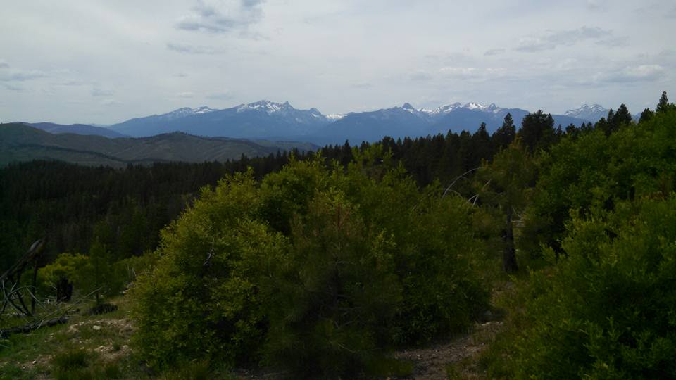 Bitterroot National Forest.